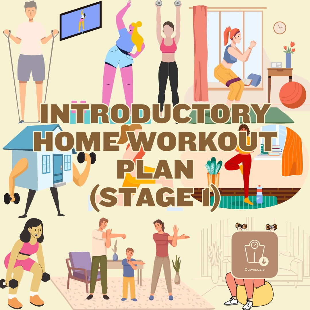 Introductory (Stage 1) Home Workout Guide - Downscale & Healthcare from Anywhere Online Shop